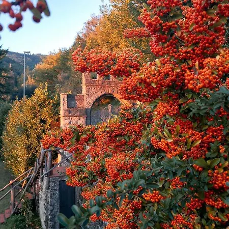 Villa Il Castello Di Ferrano *